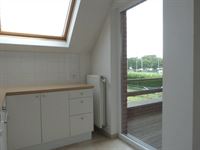 Foto 10 : Huis te 3800 SINT-TRUIDEN (België) - Prijs € 950