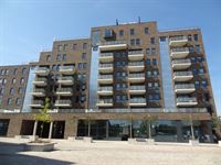 Foto 1 : Appartement te 3800 SINT-TRUIDEN (België) - Prijs &euro; 875