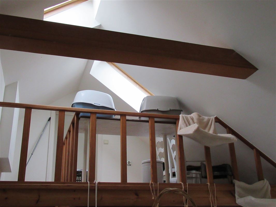 Foto 15 : Appartement te 3800 SINT-TRUIDEN (België) - Prijs € 155.000