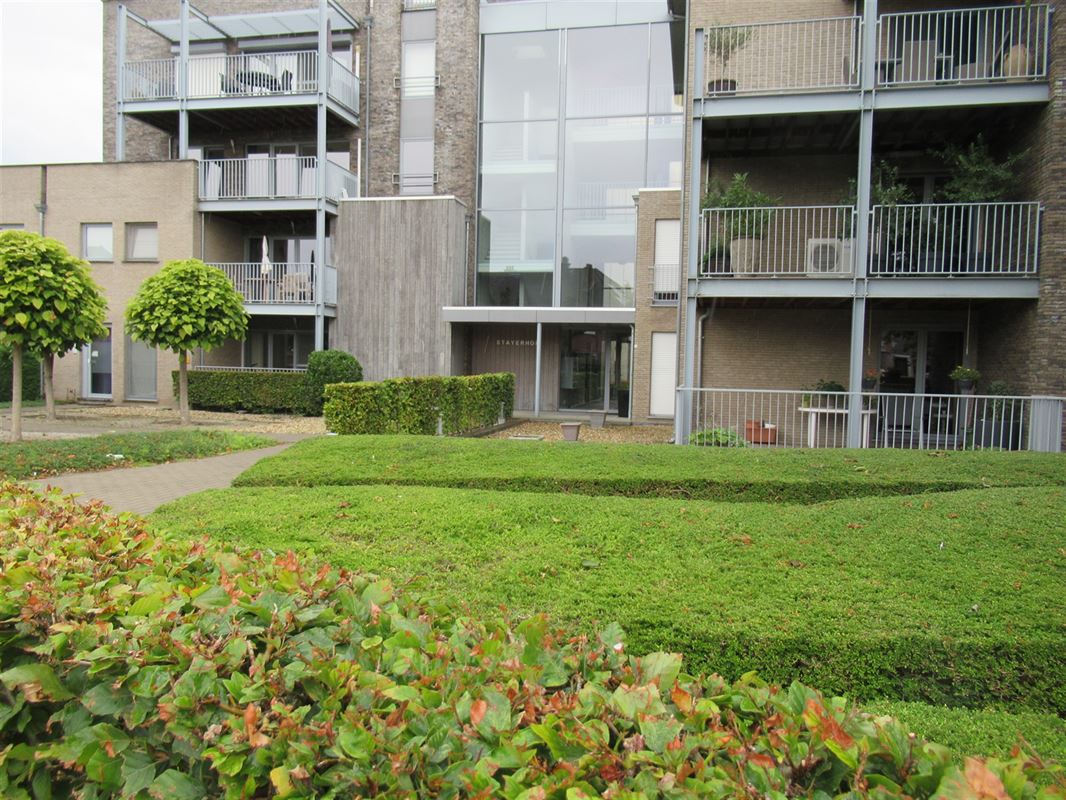 Appartement te 3800 SINT-TRUIDEN (België) - Prijs € 900