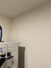 Foto 14 : Duplex/Penthouse te 3840 TONGEREN-BORGLOON (België) - Prijs &euro; 299.000