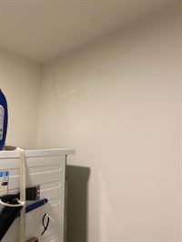 Foto 14 : Appartement te 3840 TONGEREN-BORGLOON (België) - Prijs &euro; 895