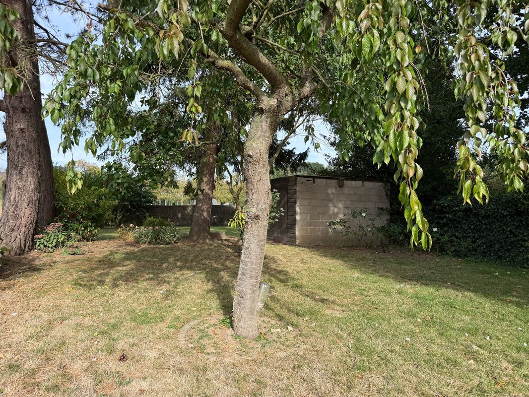 Foto 38 : Huis te 3800 GELINDEN (België) - Prijs &euro; 292.000