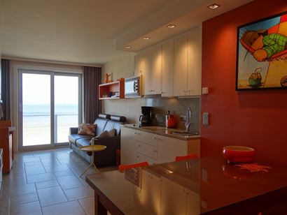Res. Gounod 0601 - Gezellig instapklaar appartement met slaapkamer - Fantastisch zeezicht van op de zesde verdieping - Centraal gelegen op de Zeedijk ...
