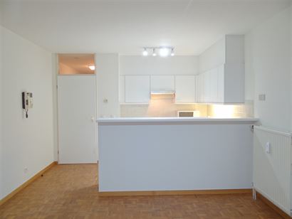 JAARBASIS - ongemeubeld appartement in het centrum van Nieuwpoort Bad - living met terras met zijdelings zeezicht - ingerichte open keuken met elektri...