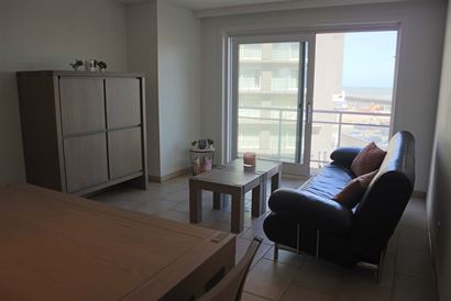 TE HUUR OP JAARBASIS - gemeubeld appartement - mooie ligging met zijdelings zicht op de vaargeul - living - open ingerichte keuken met frigo, vaatwas,...