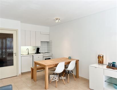 Res. Nieuwendamme 0102 - Knusse studio met slaaphoek - Gelegen op de eerste verdieping aan de zonnekant van de Franslaan - Inkomhal met slaaphoek en v...