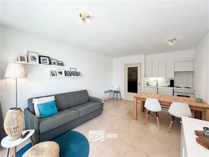 Res. Nieuwendamme 0102 - Knusse studio met slaaphoek - Gelegen op de eerste verdieping aan de zonnekant van de Franslaan - Inkomhal met slaaphoek en v...