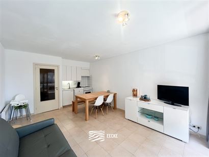 Res. Nieuwendamme 0102 - Knusse studio met slaaphoek - Gelegen op de eerste verdieping aan de zonnekant van de Franslaan - Inkomhal met slaaphoek en v...