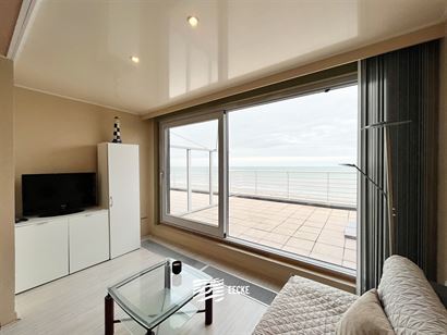 Res. Vierboete 0902 - Lichtrijk penthouse met prachtig zeezicht en twee grote zonnige terrassen - Gezellig één slaapkamer appartement op toplocatie ...
