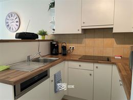 TE HUUR OP JAARBASIS - Zonnekant met terras - Open zicht op villawijk - woonkamer met open keuken - badkamer met douche - 1 slaapkamer met 1x2 bed - 1...