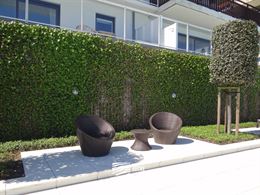 Villa Capricia 0103 - Appartement ensoleillé prêt à l'emploi avec deux chambres à coucher - Résidence de classe avec jardin commun équipé d'une...