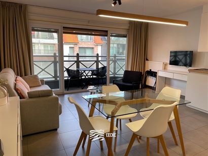 TE HUUR OP JAARBASIS - gemeubeld - studio met slaaphoek - ingerichte keuken - 1 badkamer - klein terras vooraan - lift - 50 euro provisie syndickosten...