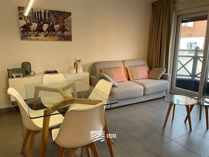 TE HUUR OP JAARBASIS - gemeubeld - studio met slaaphoek - ingerichte keuken - 1 badkamer - klein terras vooraan - lift - 50 euro provisie syndickosten...