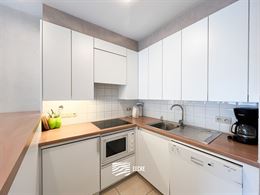 TE HUUR OP JAARBASIS - Gezellig appartement met ruime slaapkamer - zonnig terras met zicht op de gouden schildpad - living met open keuken - inkomhal ...