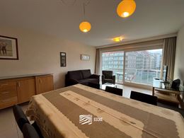 TE HUUR OP JAARBASIS - Gezellig appartement met ruime slaapkamer - zonnig terras met zicht op de gouden schildpad - living met open keuken - inkomhal ...