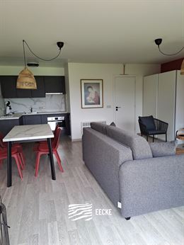 TE HUUR OP JAARBASIS - Prachtig vernieuwde studio met zonneterras - Zicht op het Mauritspark en de IJzermonding - Woonkamer met ingerichte keuken - Sl...