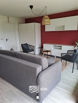 TE HUUR OP JAARBASIS - Prachtig vernieuwde studio met zonneterras - Zicht op het Mauritspark en de IJzermonding - Woonkamer met ingerichte keuken - Sl...