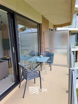 TE HUUR OP JAARBASIS - Prachtig vernieuwde studio met zonneterras - Zicht op het Mauritspark en de IJzermonding - Woonkamer met ingerichte keuken - Sl...