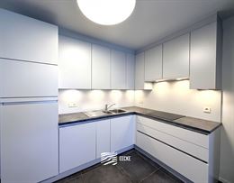 Villa Crombez 0007 - Handelsruimte gelegen langs de invalsweg tussen Nieuwpoort-stad en Nieuwpoort-bad - Voorzien van private inkom, Wachtzaal - Inkom...