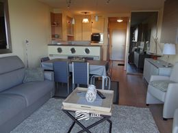 TE HUUR OP JAARBASIS - gemeubeld - studio met slaaphoek - panoramisch zicht over vaargeul met zonovergoten terras - zijdelings zeezicht - ingerichte k...