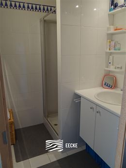 TE HUUR OP JAARBASIS - gemeubeld - studio met slaaphoek - panoramisch zicht over vaargeul met zonovergoten terras - zijdelings zeezicht - ingerichte k...