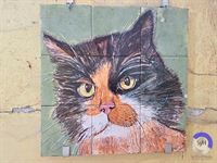 Image 34 : Maison à 7370 ÉLOUGES (Belgique) - Prix 110.000 €