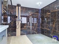 Image 42 : Maison à 7971 BELŒIL (Belgique) - Prix 330.000 €