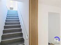 Image 55 : Maison à 7971 BASÈCLES (Belgique) - Prix 270.000 €