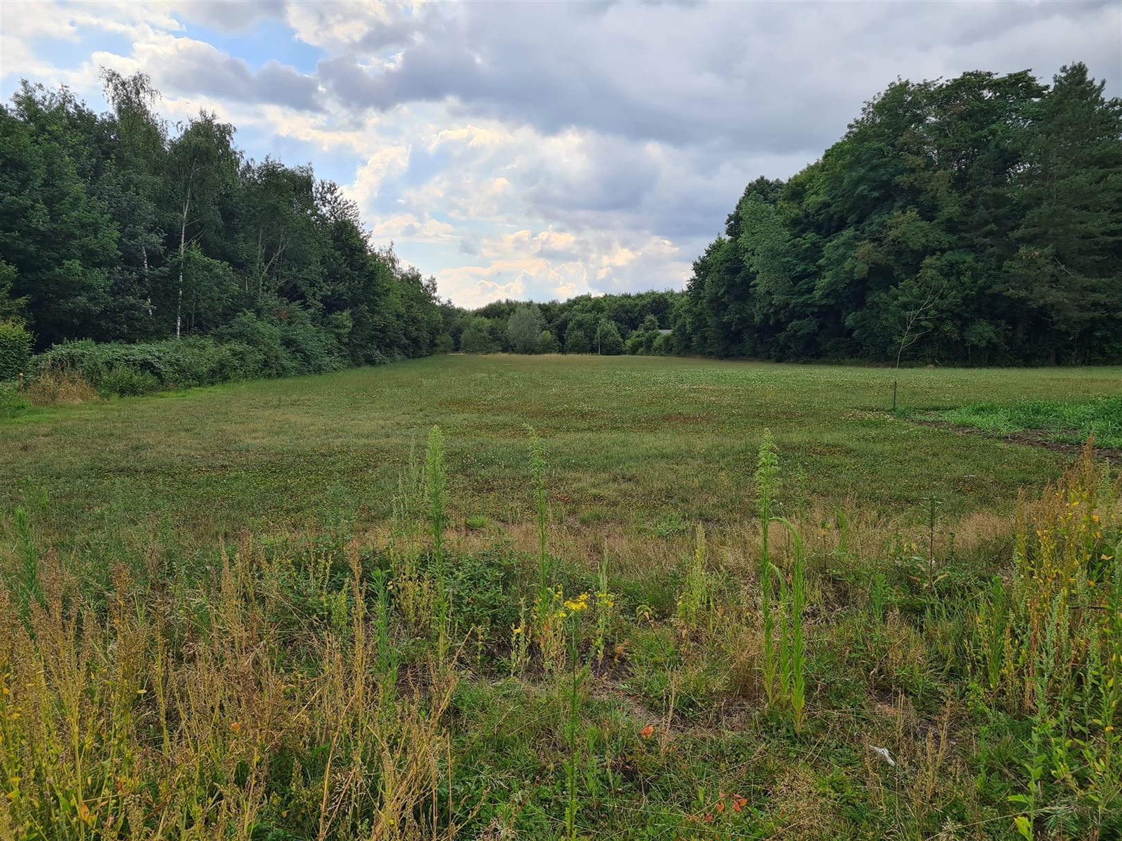 Bouwgrond te 2220 HALLAAR (België) - Prijs 