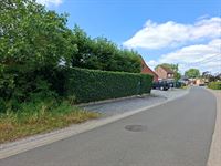 Foto 5 : Bouwgrond te 2220 HALLAAR (België) - Prijs &euro; 159.000