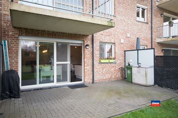 Foto 8 : Appartement te 2520 OELEGEM (België) - Prijs € 1.100