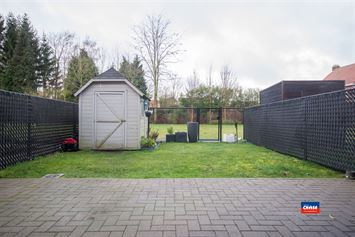 Foto 6 : Appartement te 2520 OELEGEM (België) - Prijs € 1.100