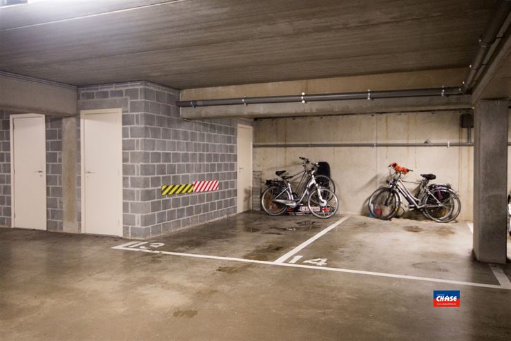 Foto 16 : Appartement te 2520 OELEGEM (België) - Prijs € 1.100