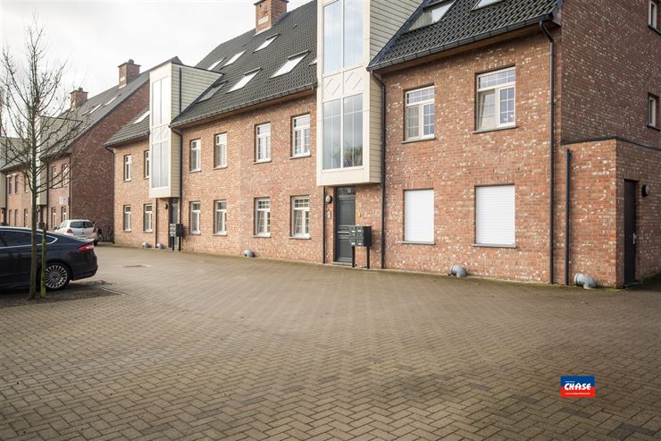 Foto 18 : Appartement te 2520 OELEGEM (België) - Prijs € 1.100