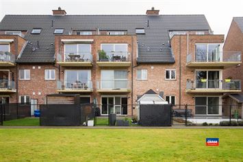 Foto 7 : Appartement te 2520 OELEGEM (België) - Prijs € 1.100