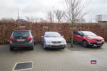 Foto 17 : Appartement te 2520 OELEGEM (België) - Prijs € 1.100