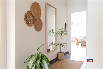 Foto 9 : Appartement te 2660  HOBOKEN (België) - Prijs € 249.000