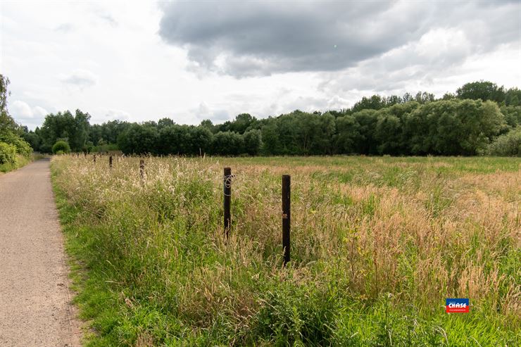 Foto 41 : Villa te 2870 PUURS (België) - Prijs € 699.000