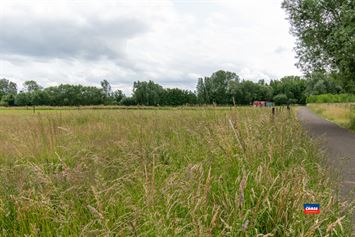 Foto 42 : Villa te 2870 PUURS (België) - Prijs € 699.000