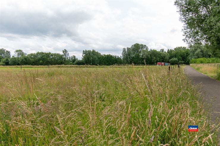 Foto 42 : Villa te 2870 PUURS (België) - Prijs € 699.000