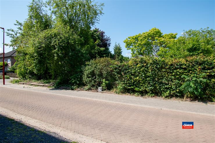 Foto 3 : Bouwgrond te 2547 LINT (België) - Prijs € 275.000