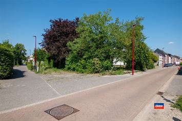 Foto 1 : Bouwgrond te 2547 LINT (België) - Prijs € 275.000