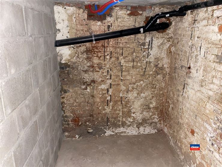 Foto 16 : Studio(s) te 2600 BERCHEM (België) - Prijs &euro; 695