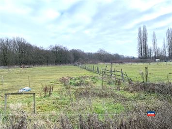 Foto 3 : Recreatie te 2660 HOBOKEN (België) - Prijs &euro; 299.000
