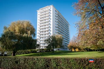 Foto 1 : Studio(s) te 2660 HOBOKEN (België) - Prijs &euro; 675