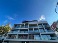 Foto 3 : Jaarbasis te 8620 NIEUWPOORT (België) - Prijs € 1.500