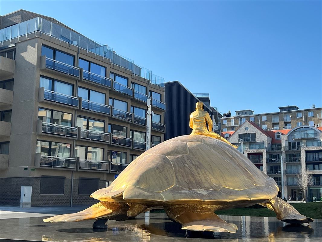Foto 10 : Appartement te 8620 NIEUWPOORT (België) - Prijs € 299.000