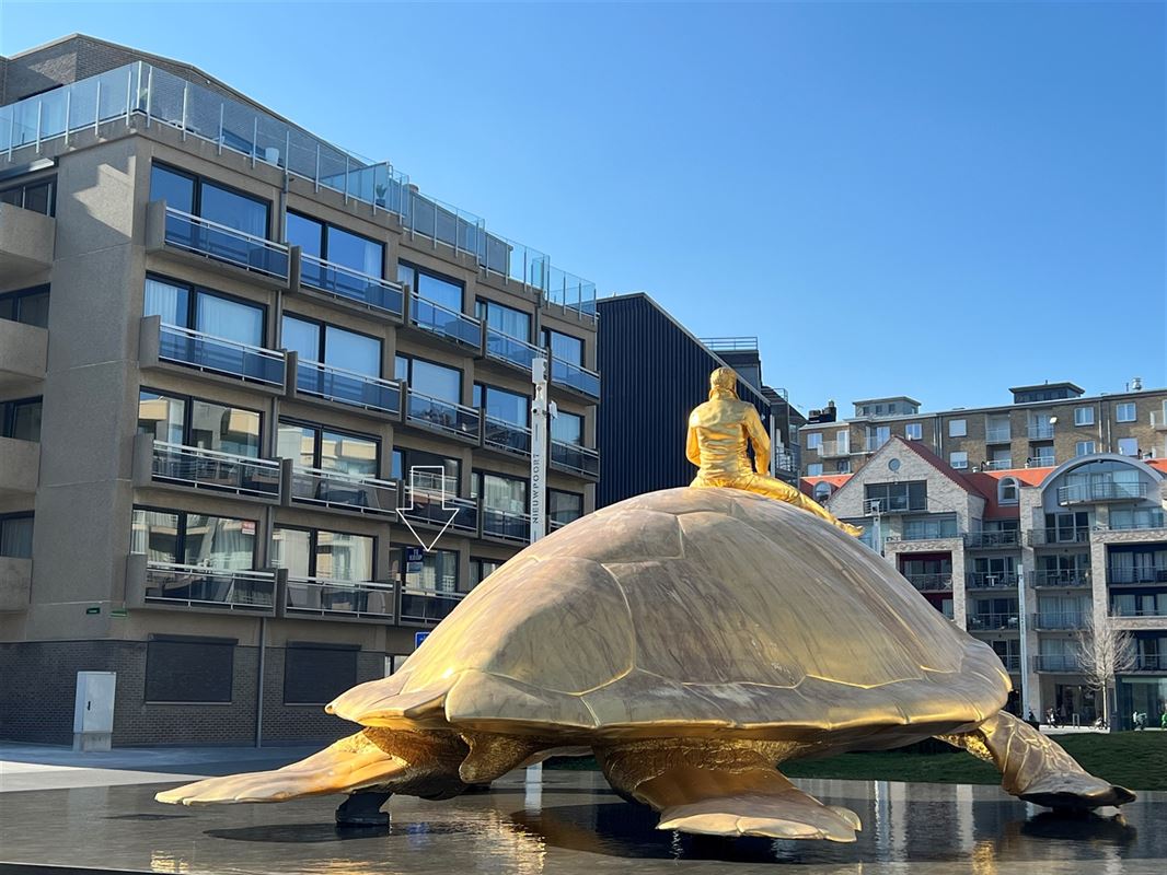 Foto 1 : Appartement te 8620 NIEUWPOORT (België) - Prijs € 299.000