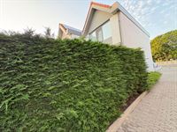 Image 41 : Jaarbasis à 8620 NIEUWPOORT (Belgique) - Prix 900 &euro;